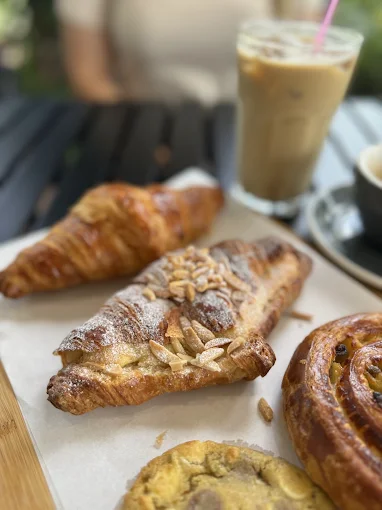 Photo of Morning Owl