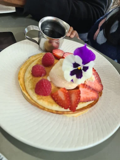 Photo of Morning Owl