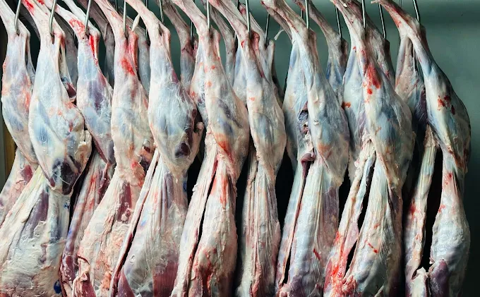 Photo of Sajed Market & Halal Meat