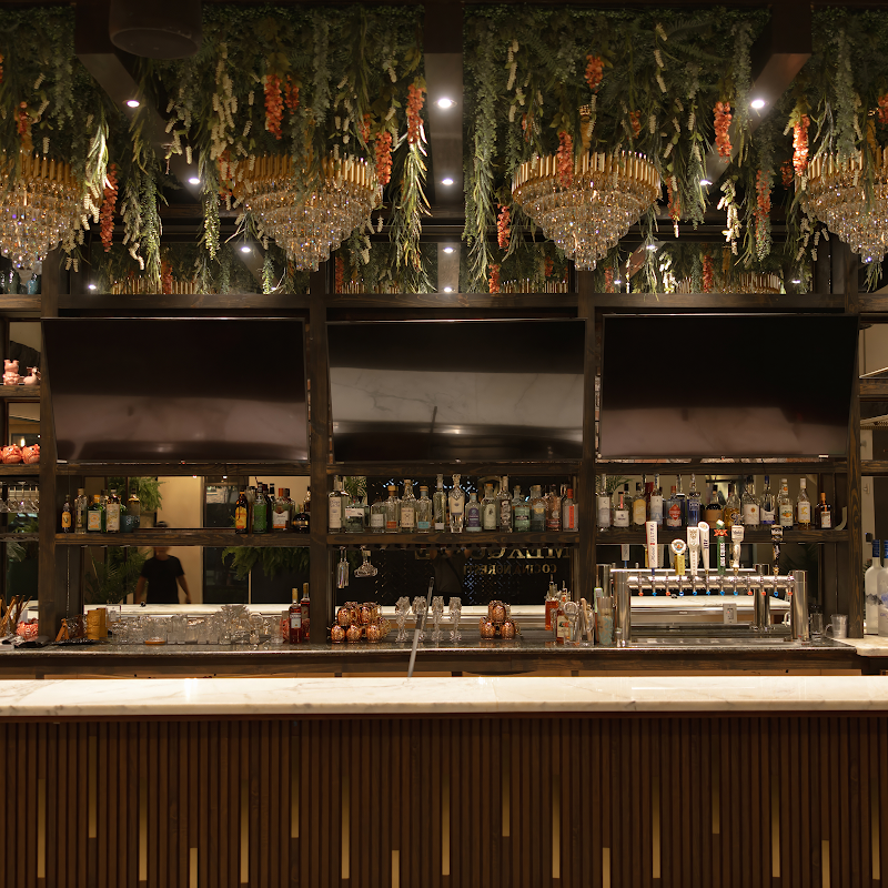 Bonsai Fusion Japanese Steakhouse | Halal Japanese in Houston, TX  Zabihah